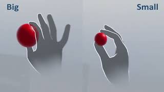 ISMAR'25 Comparing Hand and Controller Avatars with Hand Tracking and Controller-Based Interaction Net Worth