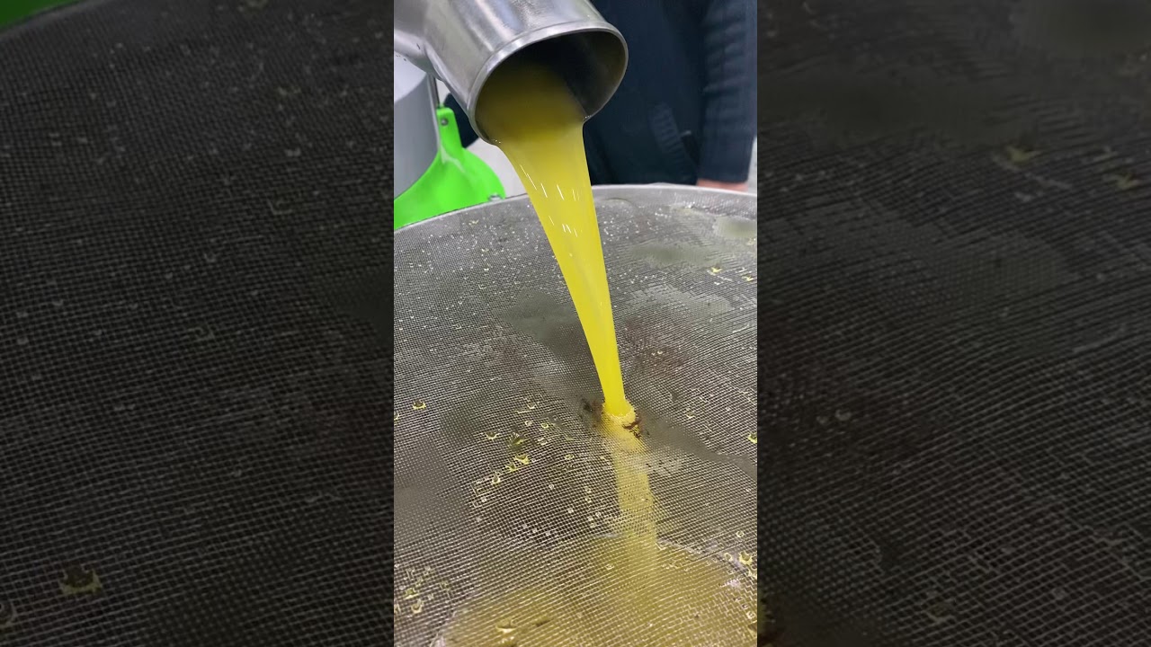 Liquid gold. Cold pressed extra virgin olive oil straight from the maching