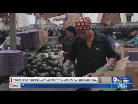 Canada, Mexico retaliate after Trump tariffs