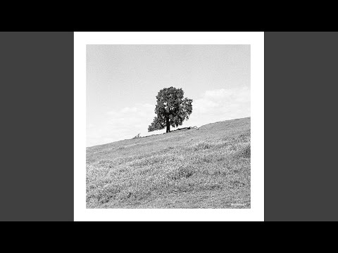 Blank Gloss — Soda Lake