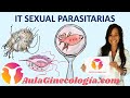 INFECCIONES DE TRANSMISIÓN SEXUAL, PARÁSITOS: SARNA, LADILLA, TRICHOMONA - Ginecología y Obstetricia