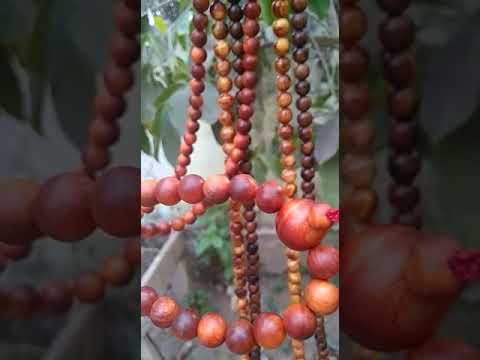 Japamala kayu raja. Kayu getah pinus dan kayu gaharu 12 mm ...