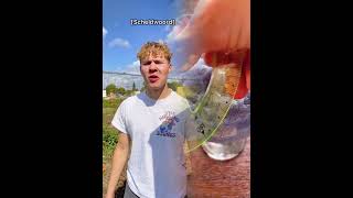 Hey Hoi, Iemand Iets Teveel Boetes?