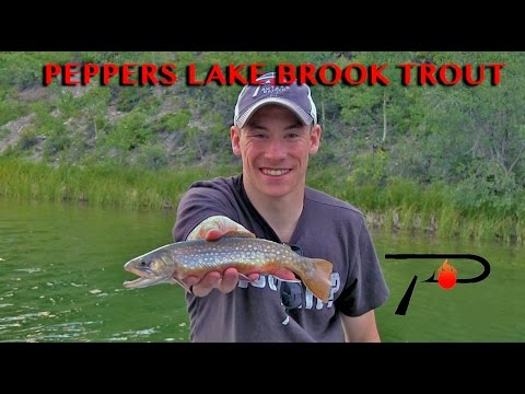 Trout Fishing Alberta's Peppers Lake 