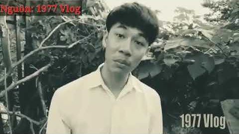 🔰Những Câu Nói Bá Đạo Của 1977 Vlog 