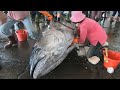 800 Pounds of Thrills : Amazing Skills Cutting Giant Bluefin Tuna and Marlin!