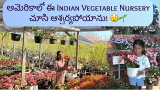 Why Everyone Loves Doan’s Nursery 🌱 Hidden Gem in Irving #Doans nursery #plantnurseryvisit #garden  