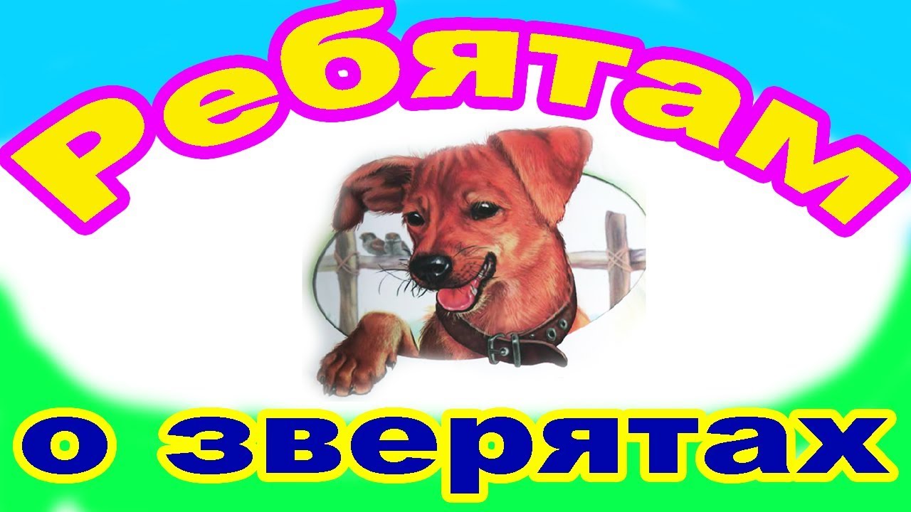 Ребята и зверята картинки. Ребята и зверята. Ребята и зверята. Ребятам о зверятах. Ребятам о зверятах книга.