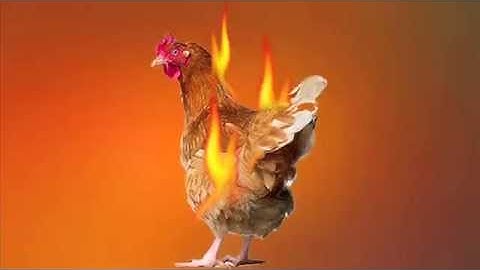 THE FRECKLES OF FURY – "I like your thinkin´" (Official Video)