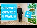 Knee Friendly LOW IMPACT, Beginner & Senior full body walking workout with Light DUMBBELLS