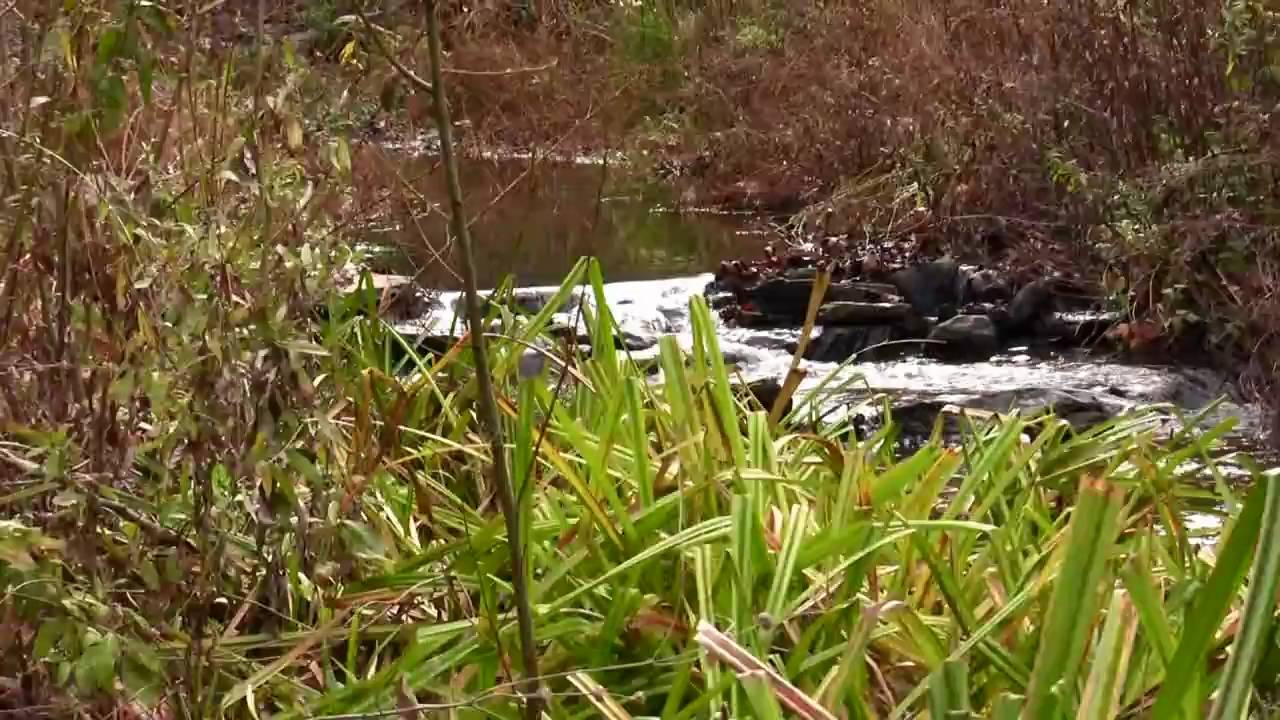 Bouquet Canyon pools and falls HD V03907 YouTube