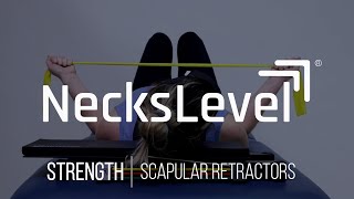 NecksLevel Tutorials: Strength - Scapular Retractors