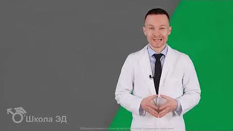 Урок1 - Анатомия мужской половой системы