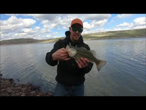 Catching Largemouth Bass At Paddock Res. in Idaho