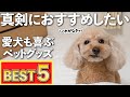 お世話が楽になる！買って良かった犬グッズTOP5♪失敗したペット用品もありました【大きいトイプードル】【アラジン グラファイト グリラー】