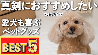 お世話が楽になる！買って良かった犬グッズTOP5♪失敗したペット用品もありました【大きいトイプードル】【アラジン グラファイト グリラー】