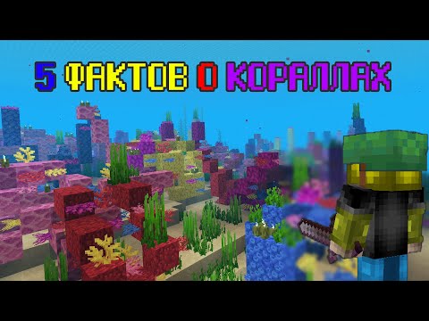 5 ФАКТОВ О КОРАЛЛАХ - Майнкрафт