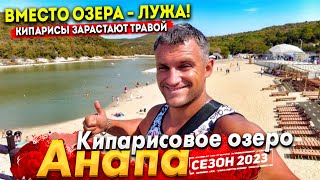 #АНАПА КИПАРИСОВОЕ ОЗЕРО ВНОВЬ ПОД УГРОЗОЙ! ПОЧЕМУ ТАК ДОРОГО? СТОИТ ЛИ СЮДА ЕХАТЬ? ОТДЫХ В СУККО