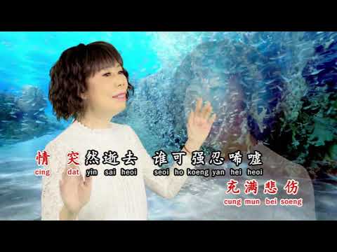 罗雪丽广东专辑【珍珠泪】MV