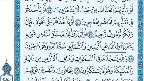 تكرار الوجه السادس من سورة النحل كل آية ٣مرات للشيخ فارس