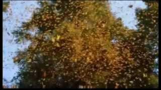 hussein al jasmi - Allah Ya Allah_حسين الجسمي - الله ياالله