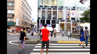 Walking Around TOKYO City | Aoyama - Omotesando 青山・表参道 - Japan 🇯🇵 【4K】