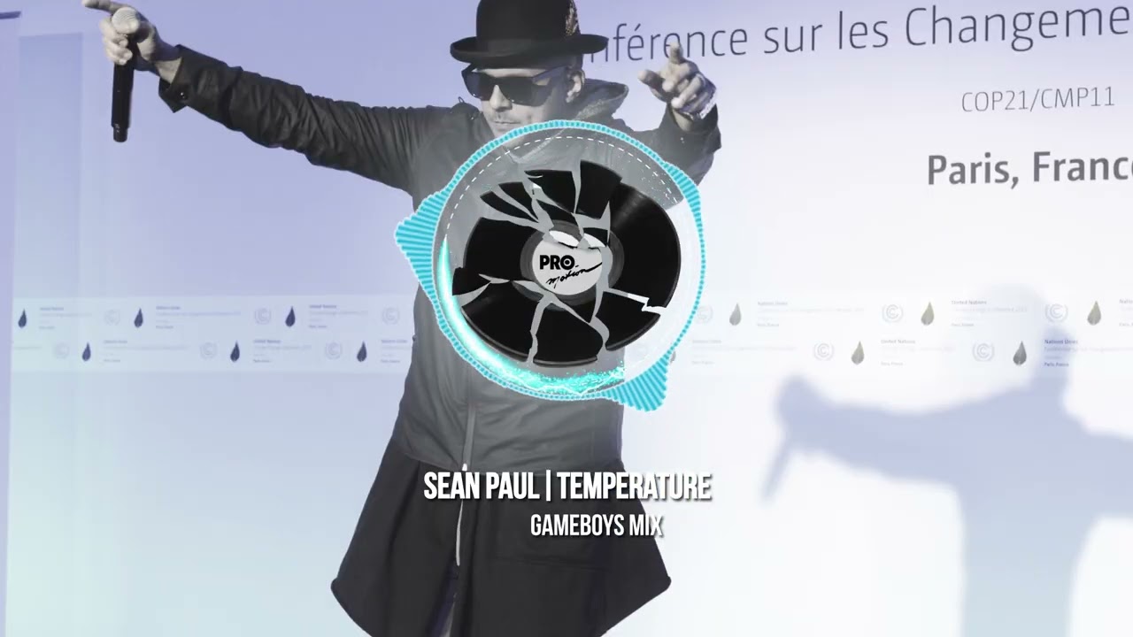 SEAN PAUL - TEMPERATURE (GAMEBOYS MIX)