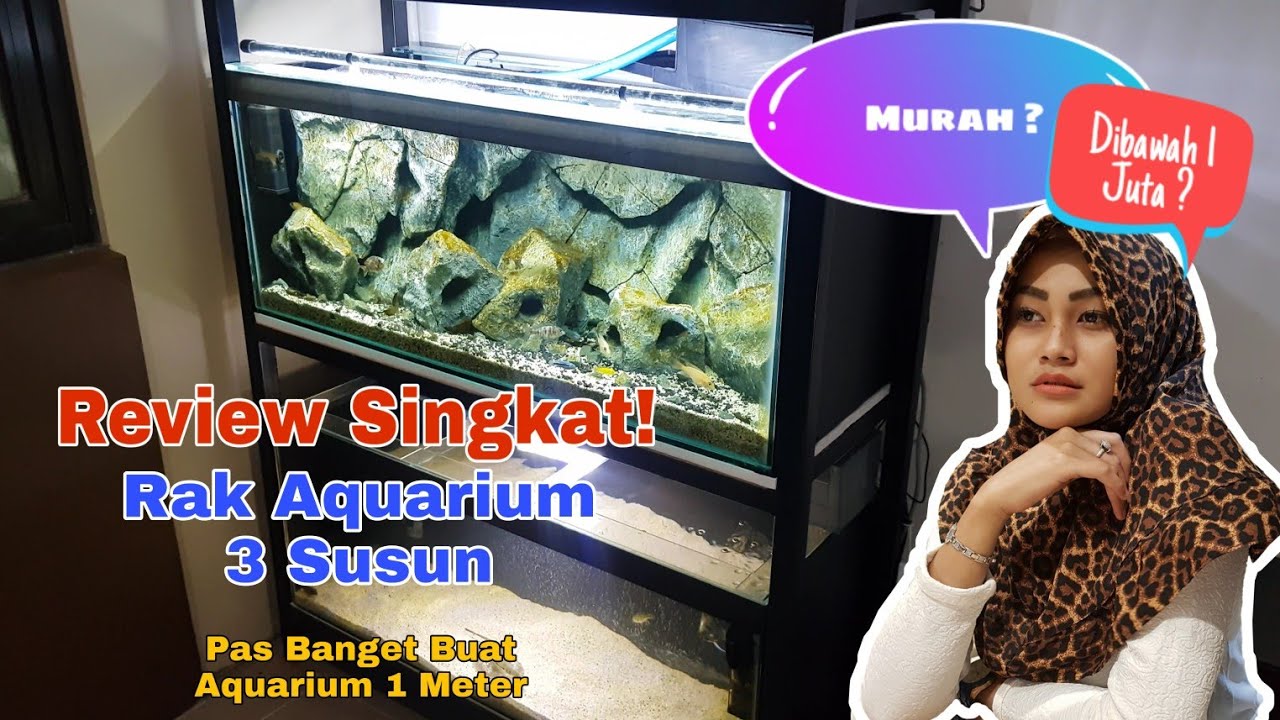  Rak  Aquarium  3 Susun  YouTube