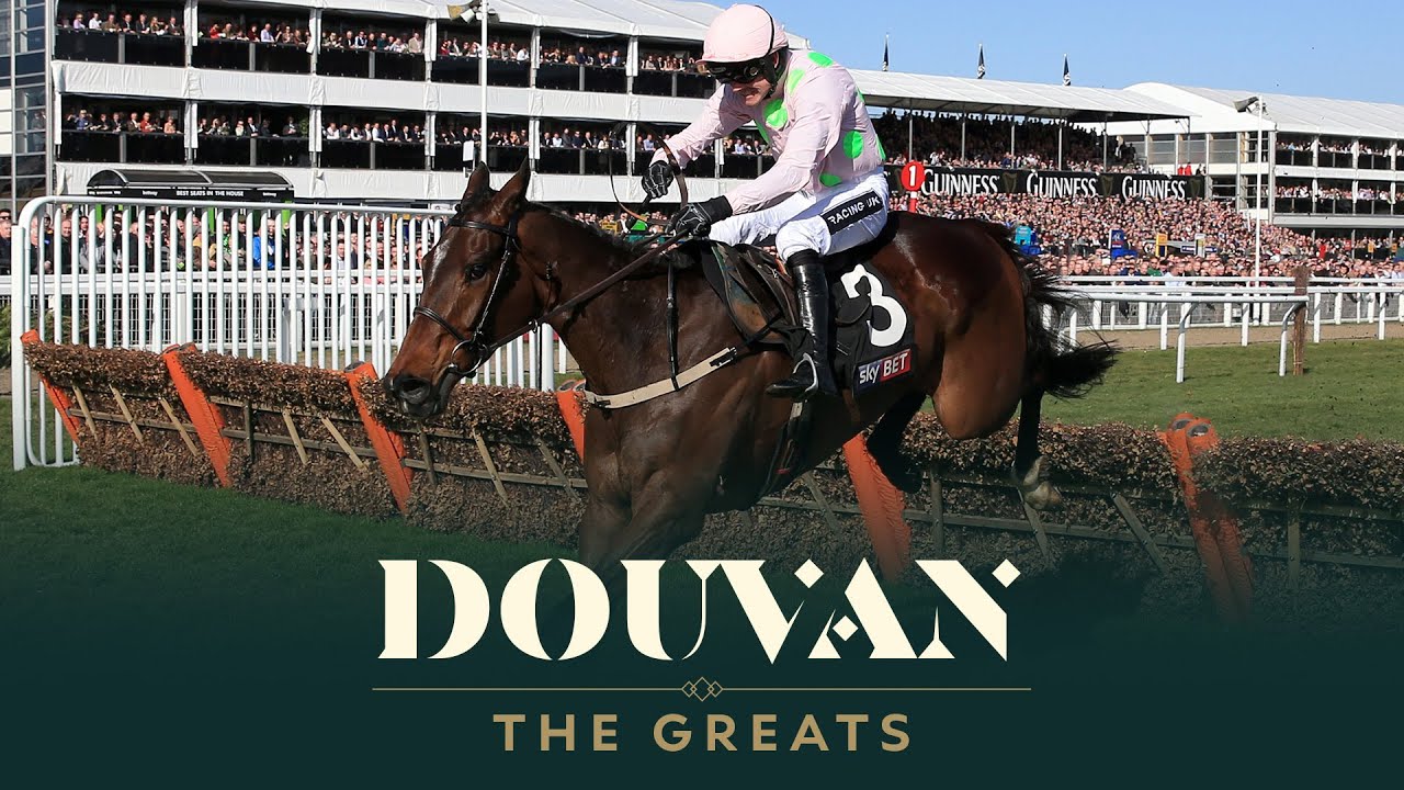 RICCI'S MOST TALENTED RACEHORSE?