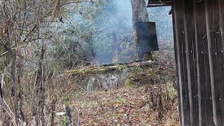 1/2 lb of Tannerite Vs Stump