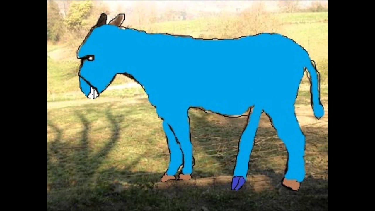 El origen del burro azul YouTube