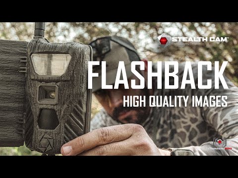 Stealth Cam Flashback | High Quality Images