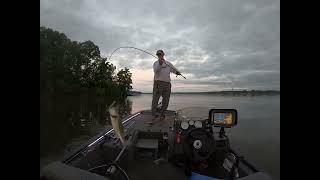 Lake Norman Bass--Topwater Bite