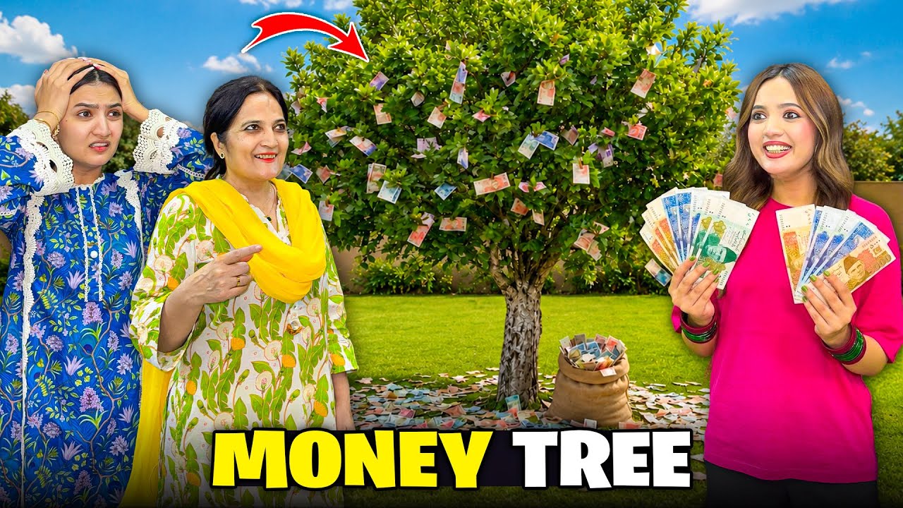 Tree Par Paisy Lag Gaye PRANK*🤩🤣|Divorce Mill Gayi?😭💔|Hira & Rabia Ki Fight😱😡|Sistrology 