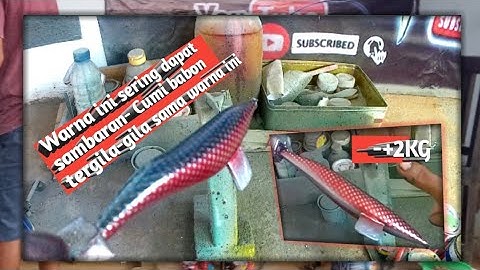 Squidjig Killer!!!Cumi babon suka warna ini