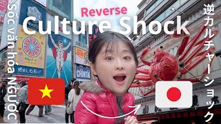 【一時帰国】ベトナムに8年、逆カルチャーショック！｜Con trai Việt quá GA LĂNG?! Sốc Văn hoá | Reverse culture shock in Japan