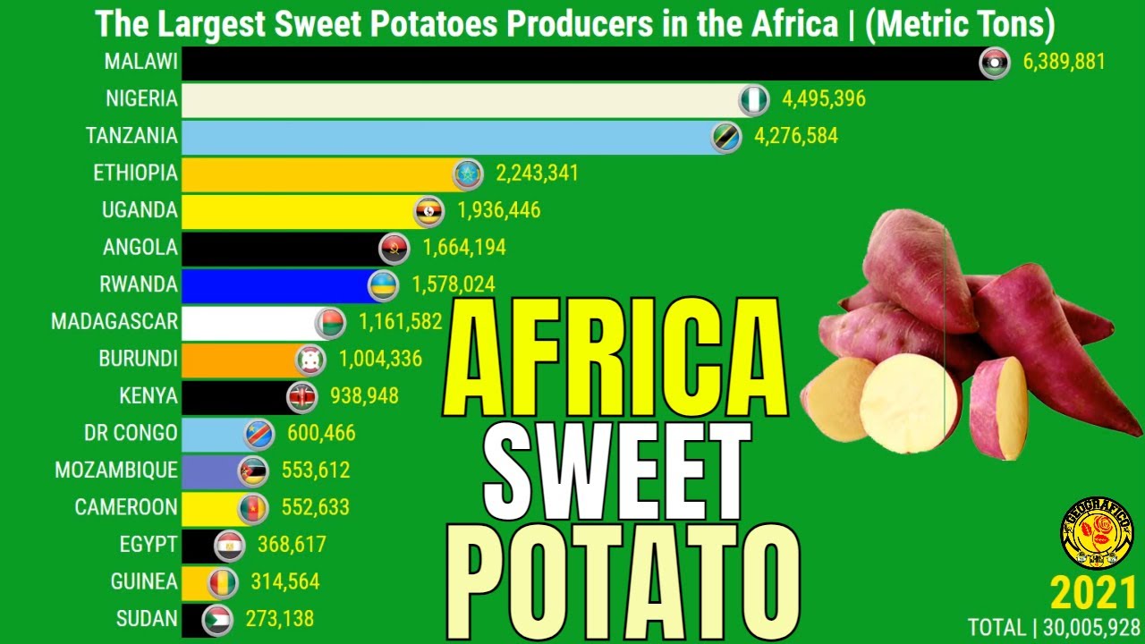 The Largest Sweet Potatoes Producers in the Africa YouTube