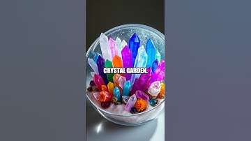 The Amazing Crystal Garden Experiment