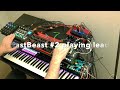 Feb 2025 No 3 - Live Video Featuring #behringerspice, #eastbeast, #midicakearp & Others
