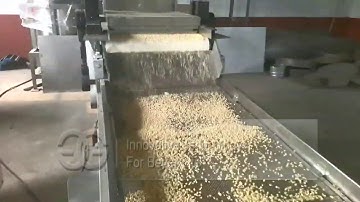 Walnut Chopping Cutting Machine|Peanut Chopper From Cara@machinehall.com