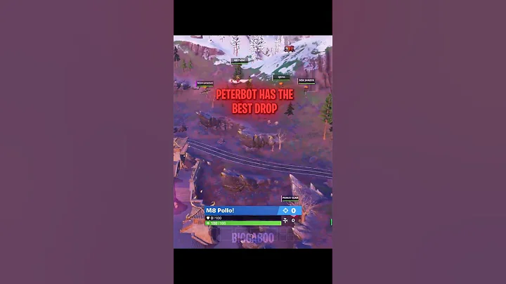 Peterbot vs Pollo Offspawn | #fortnite #fncs #peterbot #pollo