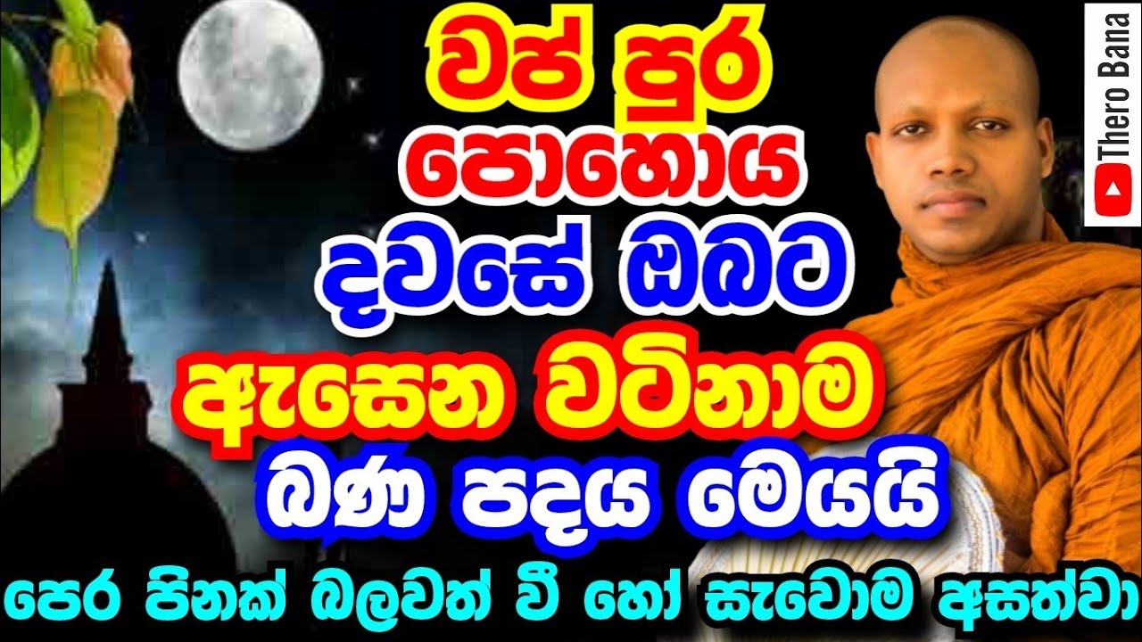 වප් පොහොය දින අහන්න තියන වටිනාම බණටික,පෙර පිනකින් හෝ ඇසේවා | Hasalaka Seelawimala Thero Bana 2025