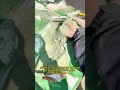Mejora rápida con resultados limpios y profesionales#repair #ground #crack