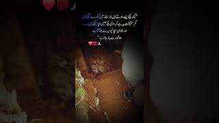 Deep Lines ❤️ 💯 l #mjttalks #quotes #aesthetic #viral #trending #explore #fyp #unfrezzmyaccount