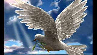 Eglise Protestante De Wasmes