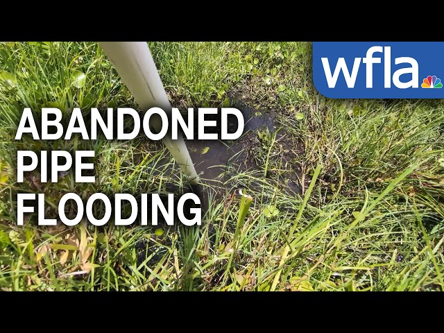 New Port Richey residents’ flooding traced to abandoned city pipe | Better Call Behnken