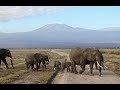 safari amboseli 2kenia movie