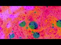 dreamscape final film
