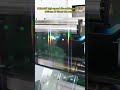 SZIMAGE New High Speed Die Cutting Machine Boosts Production by 20x