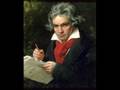 Beethoven Spring Sonata 1st Movement Allegro